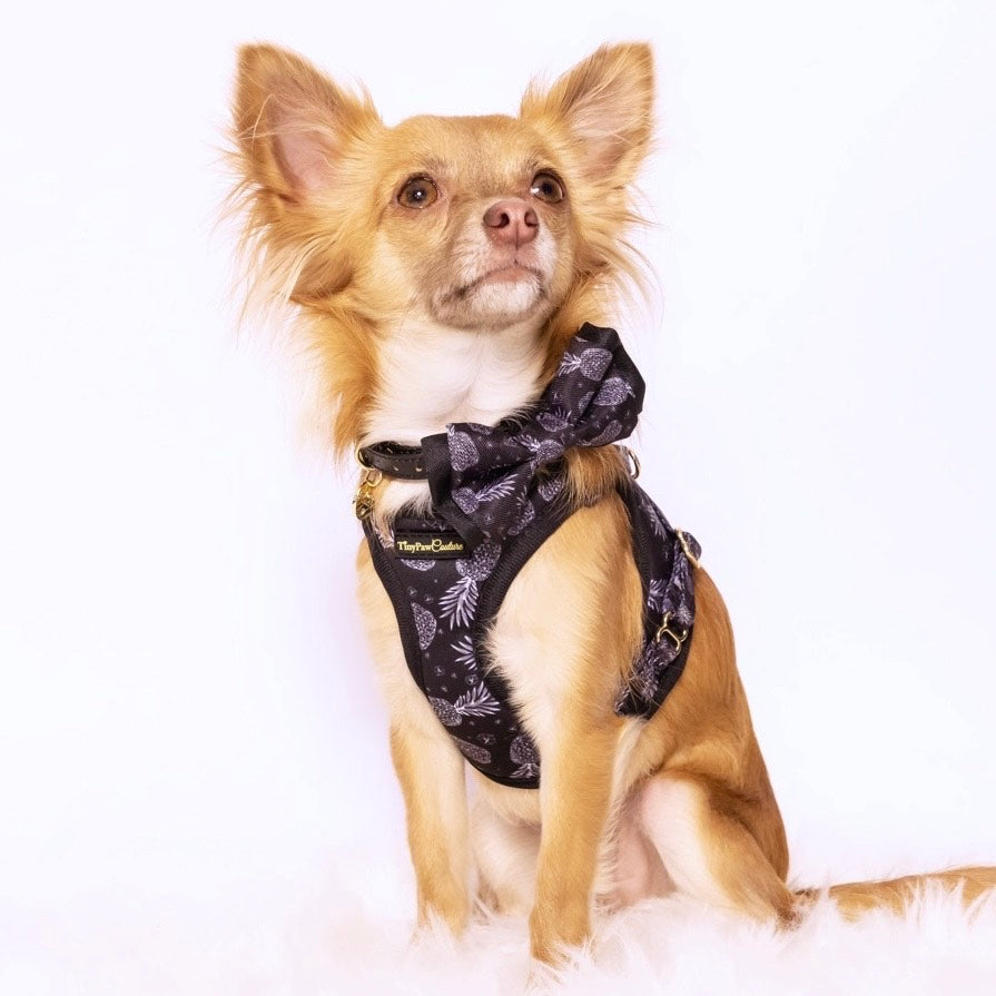 Little Luxe Pineapples Step In Vest Harness