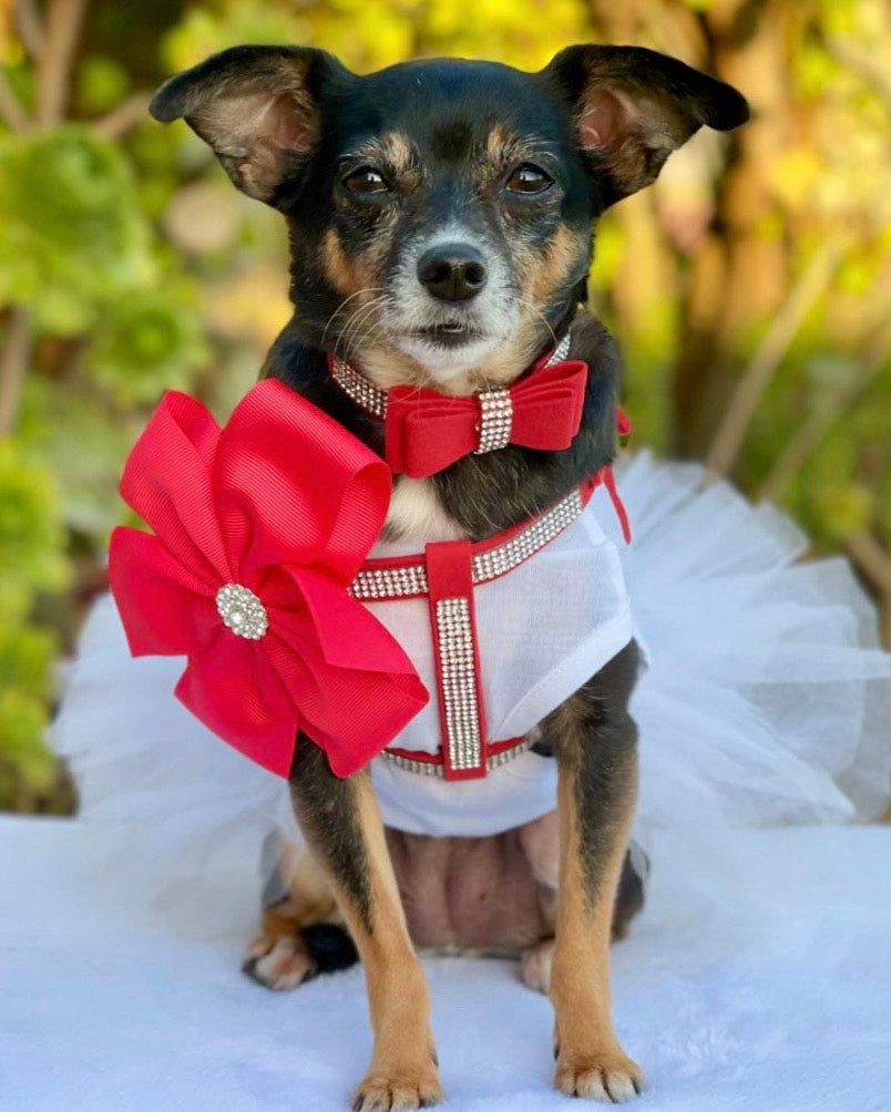 Diamante Rouge Harness