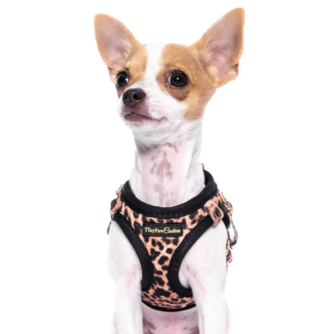 Little Luxe Leopard Step In Vest Harness