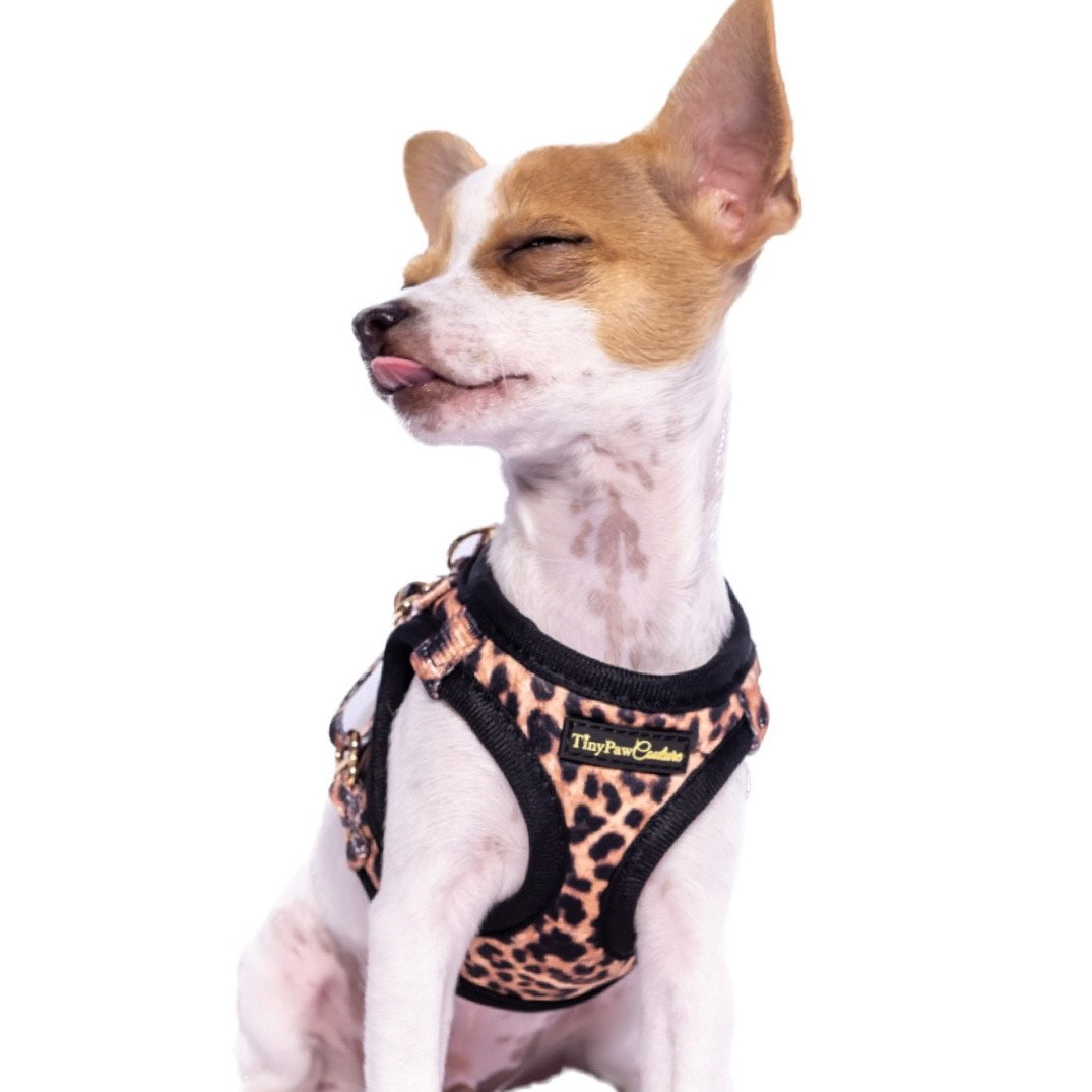 Little Luxe Leopard Step In Vest Harness