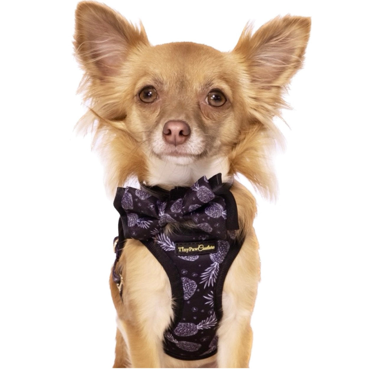 Little Luxe Pineapples Step In Vest Harness