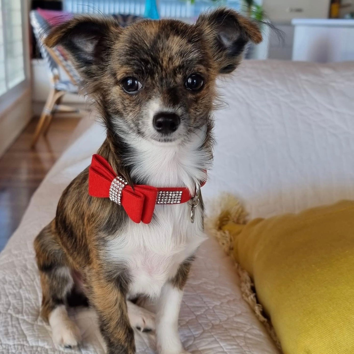 Diamante Rouge Collar