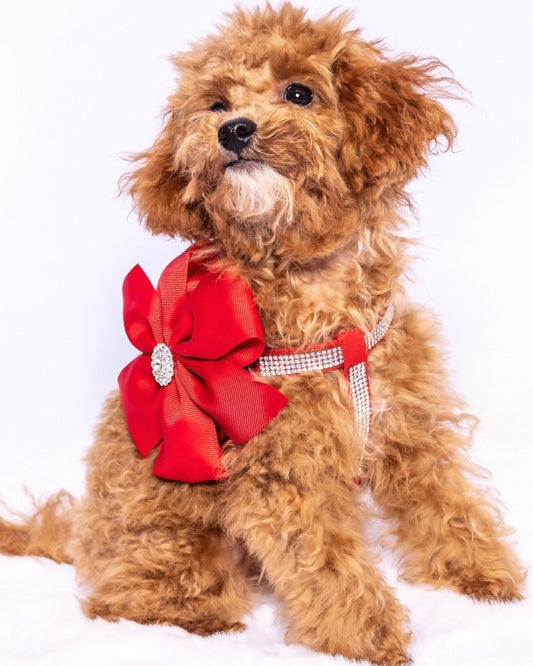 Diamante Rouge Harness
