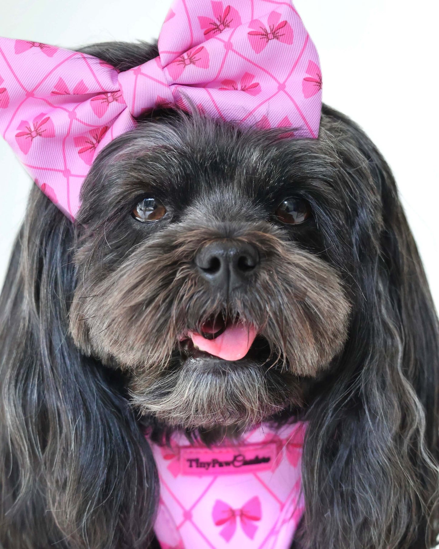 Wet'n'Wild Valentina Bow