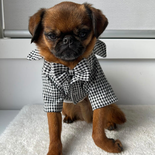 Houndstooth Suit