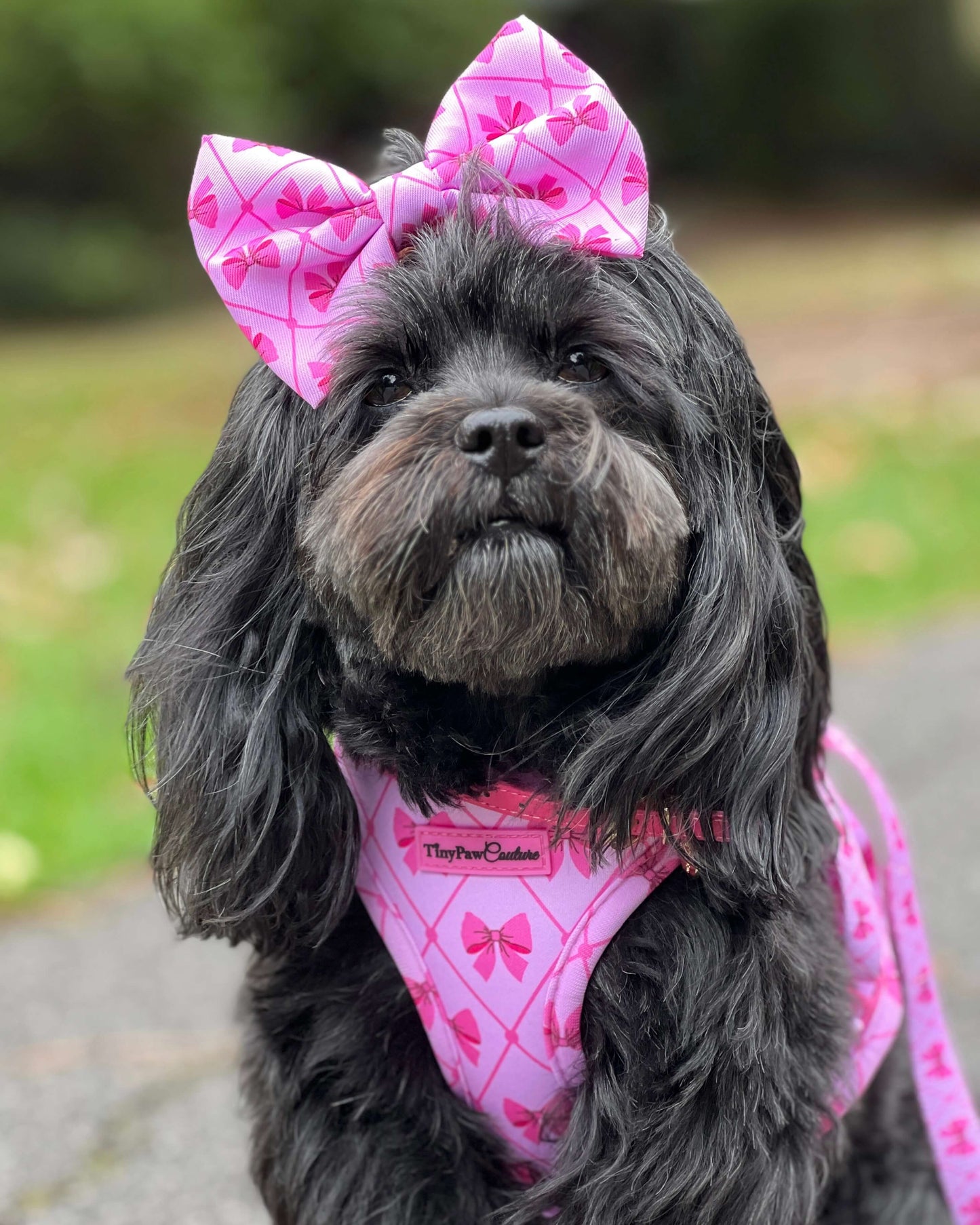 Wet'n'Wild Valentina Bow Harness