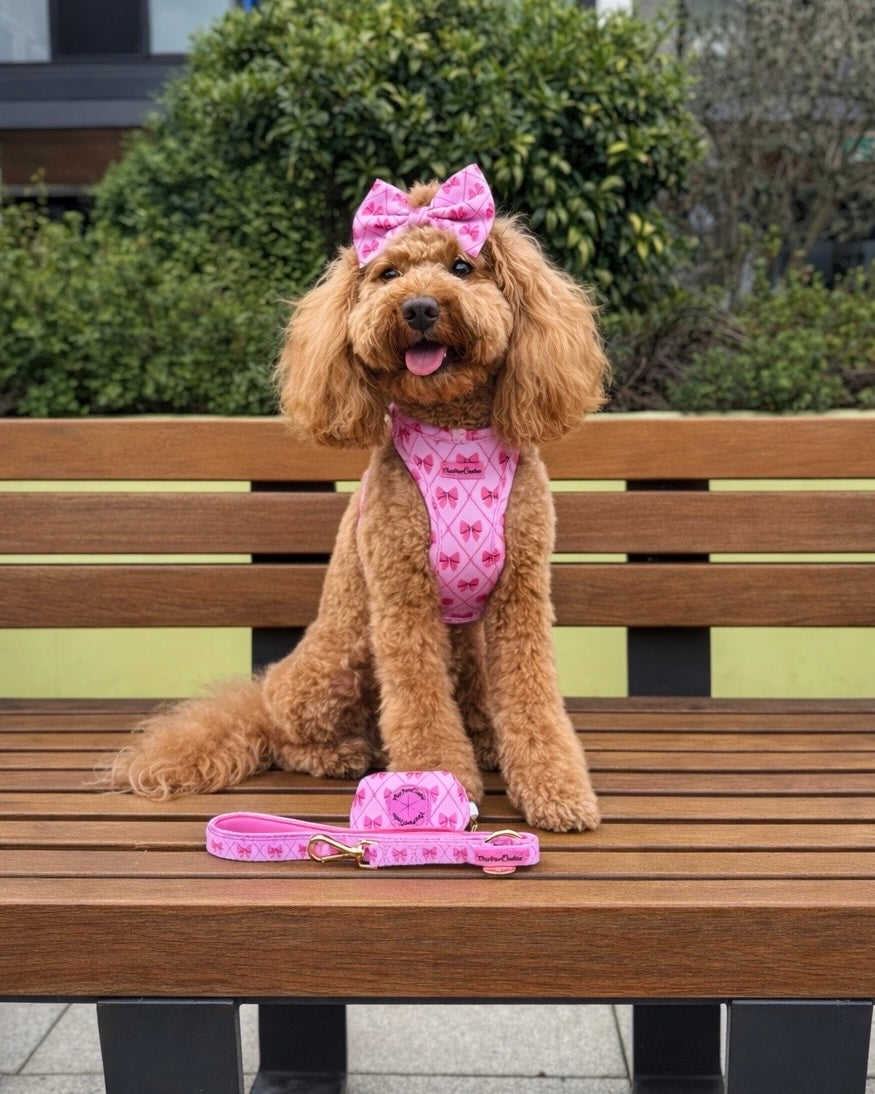 Wet'n'Wild Valentina Bow Set