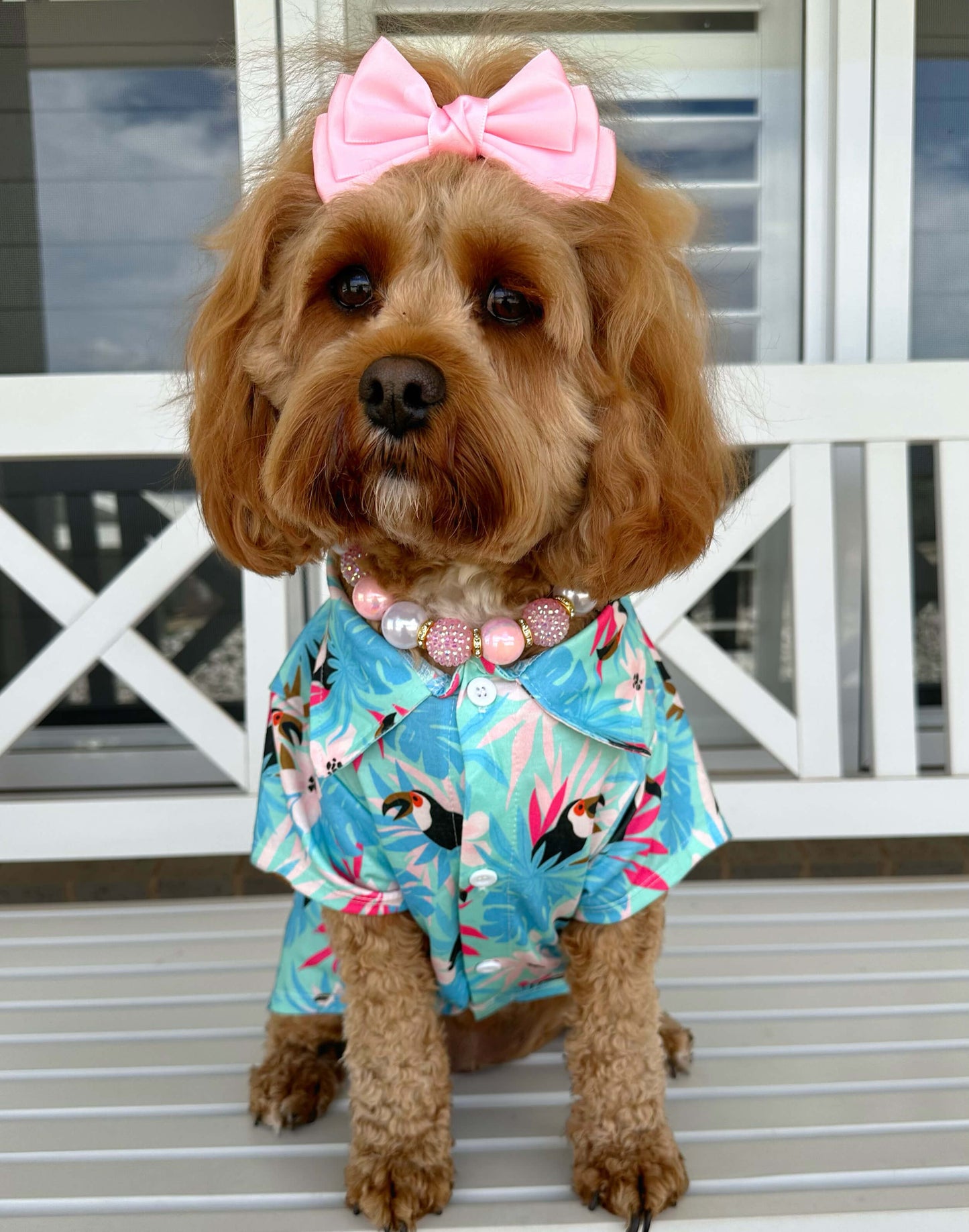 Tropical Toucan Paradise Shirt