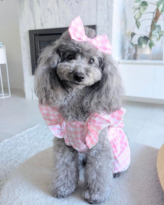 Bethany Pink Gingham Dress