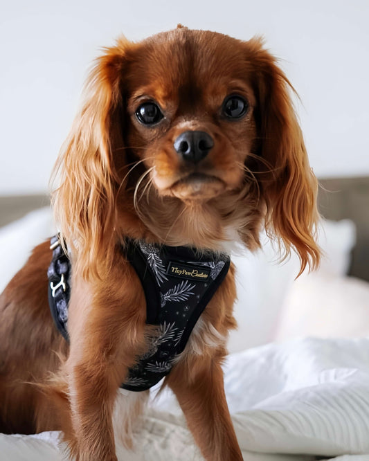 Little Luxe Pineapples Step In Vest Harness