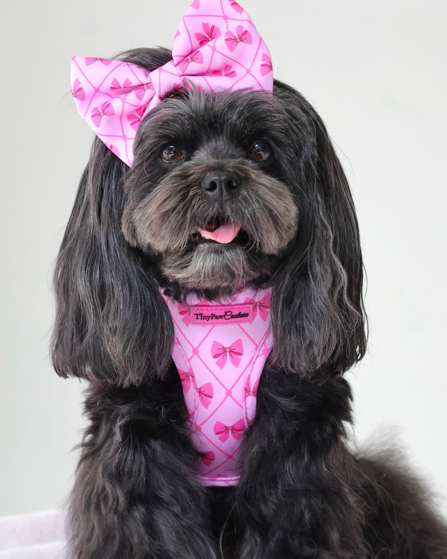 Wet'n'Wild Valentina Bow Harness