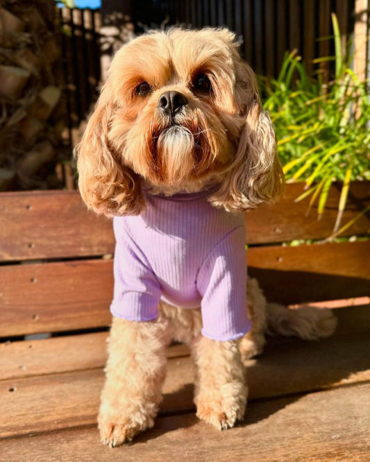 Lenny Loungewear Top Purple