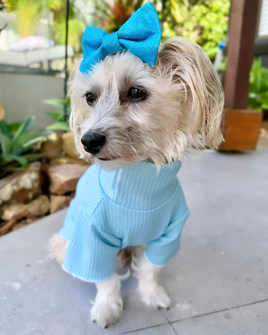 Andy Turtleneck Top Blue