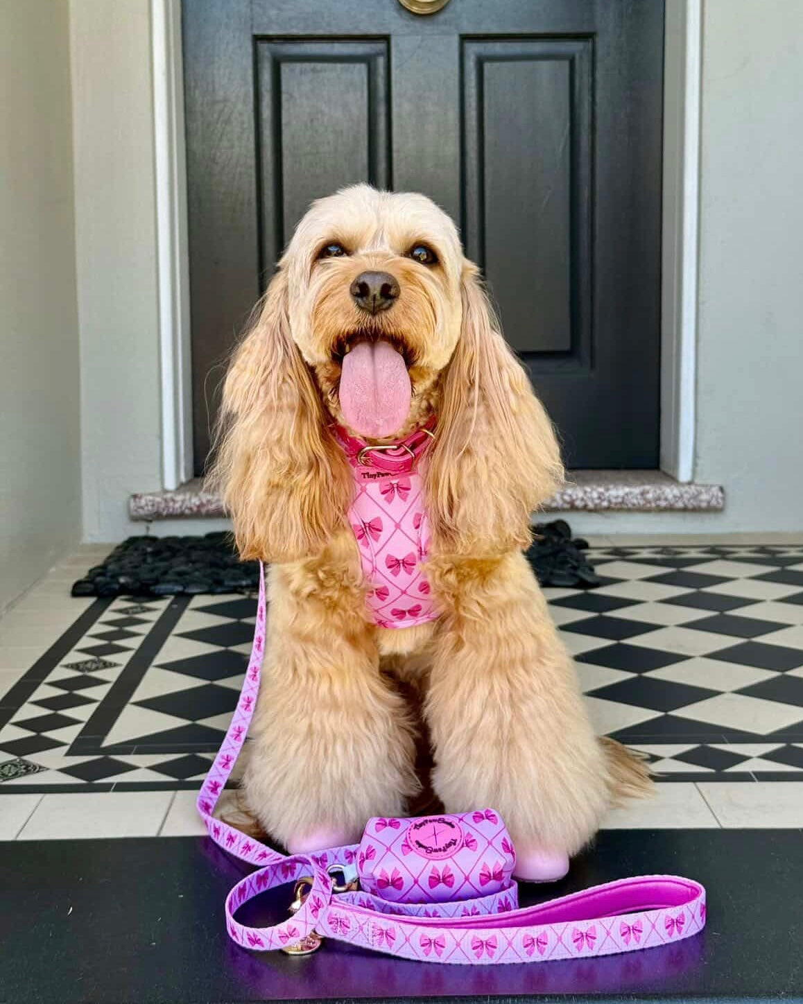 Wet'n'Wild Valentina Bow Harness