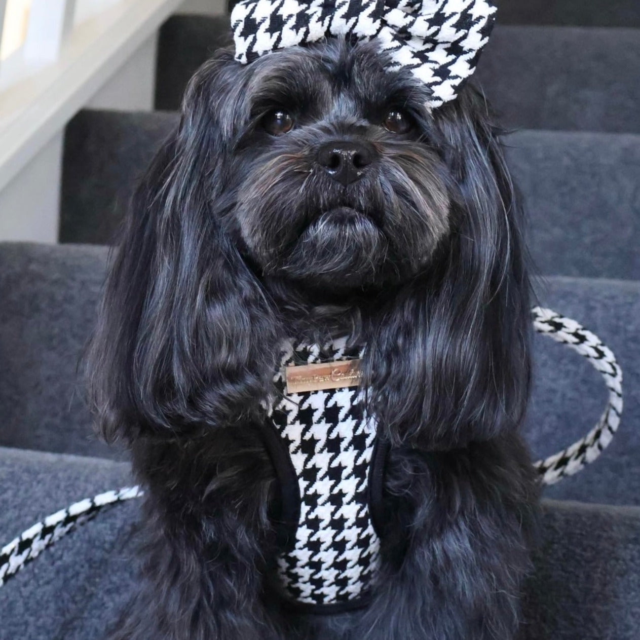 Little Luxe Houndstooth