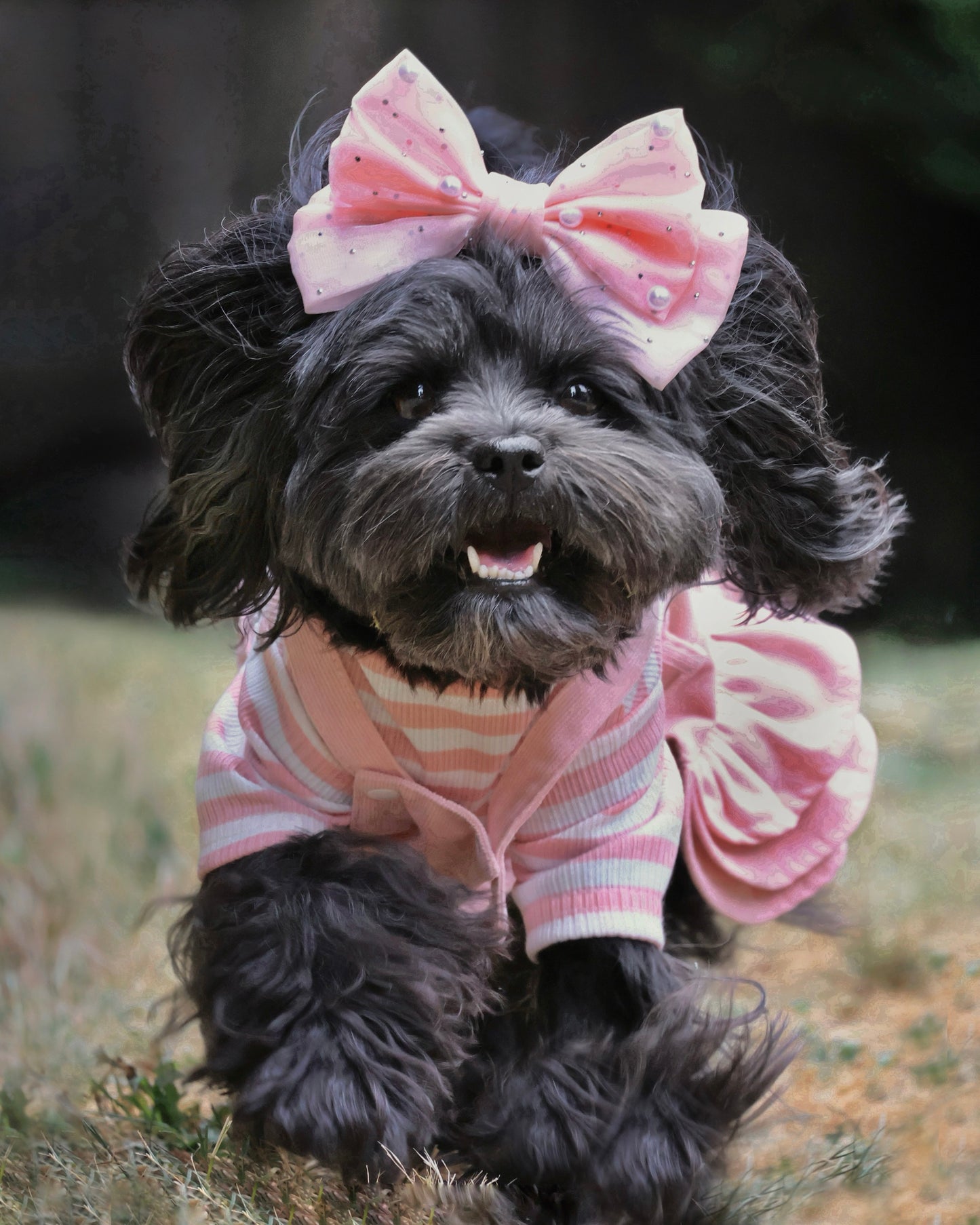 Sammy Striped Top Pink