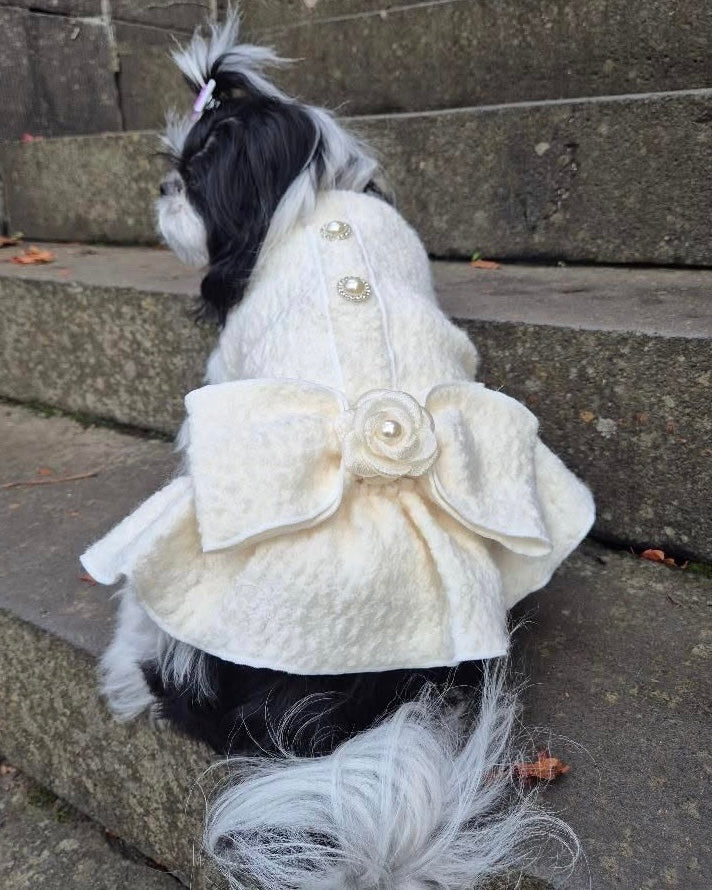 Elodie Luxury Winter Dress