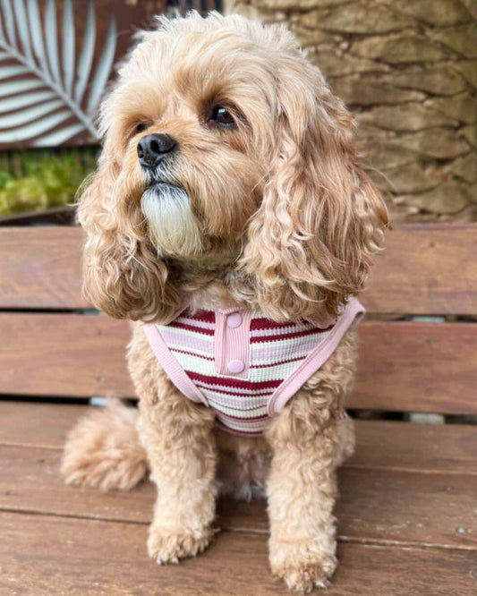 Riley Sleeveless Polo Vintage Dusty Pink