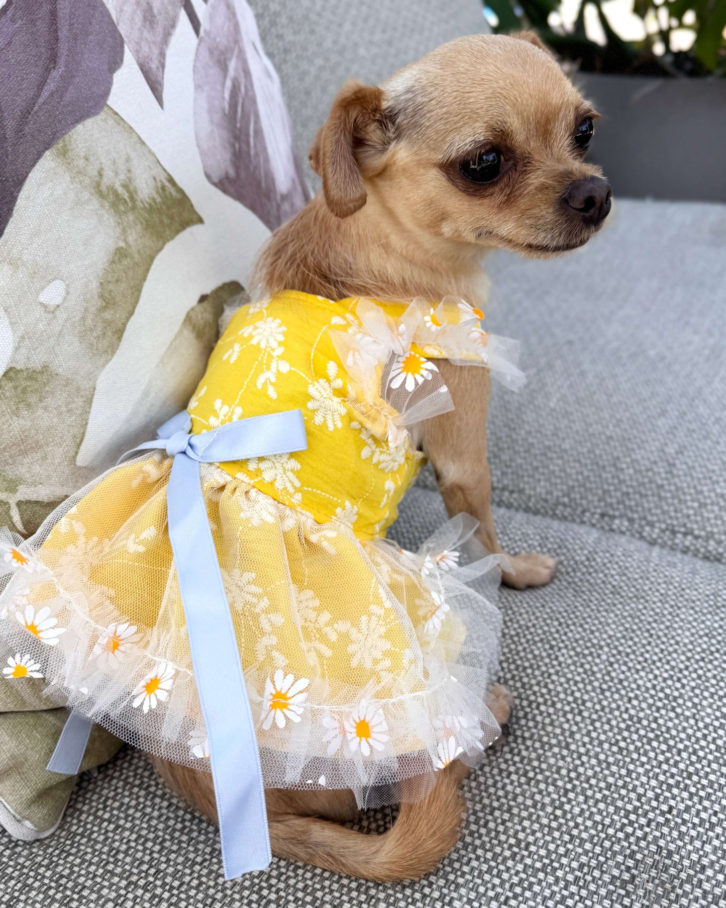 Daisy Meadow Dress