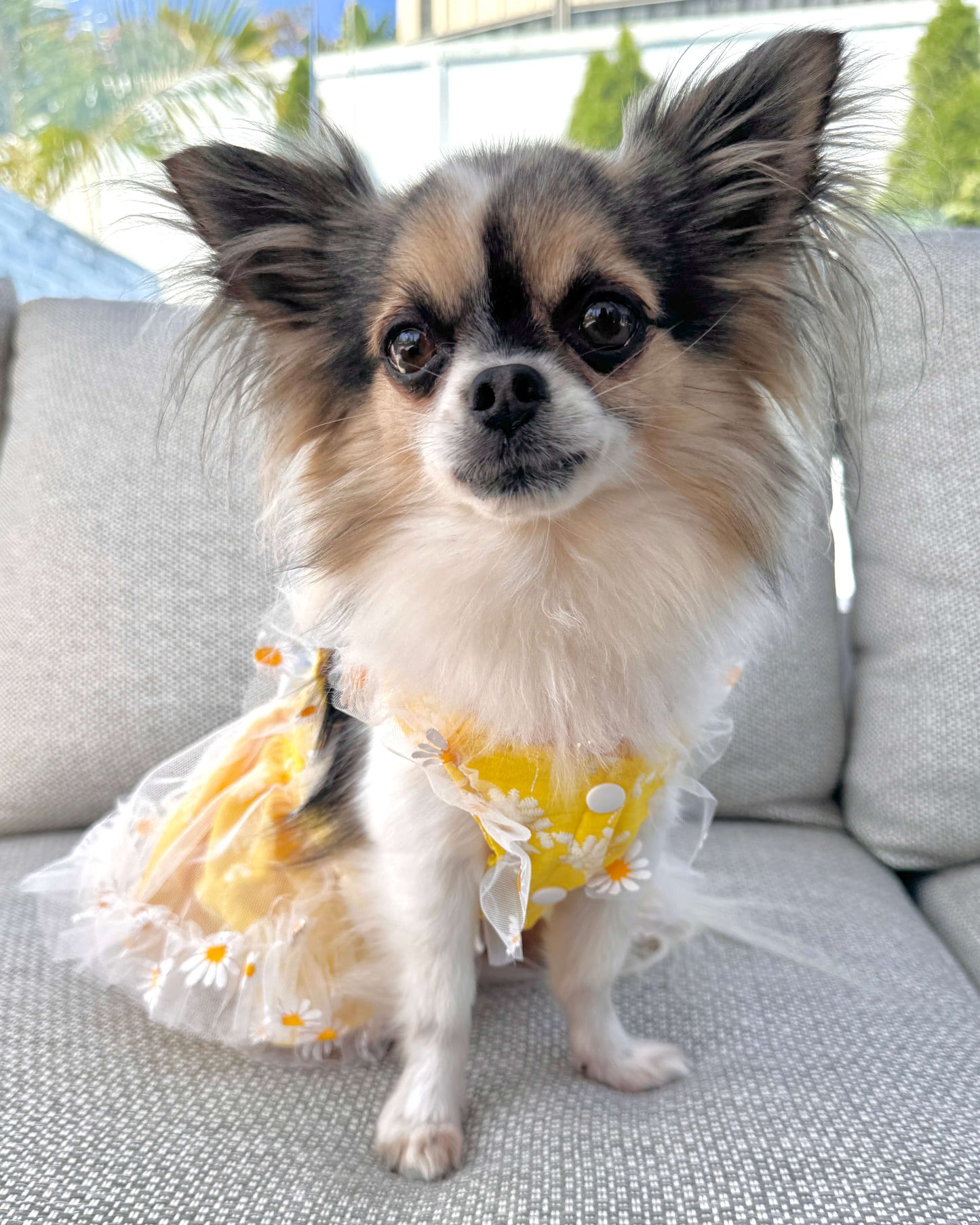 Daisy Meadow Dress