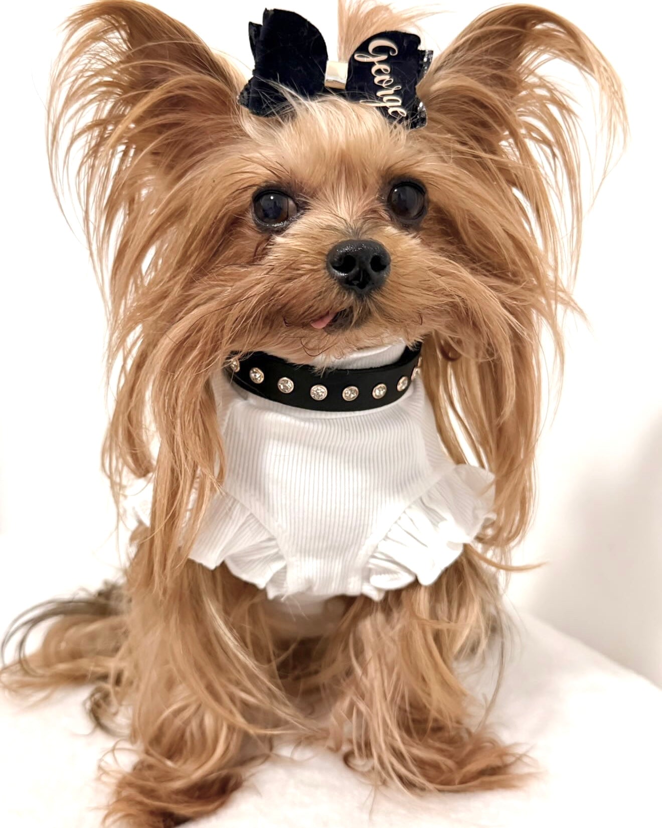 The Iconic Noir Leather Collar
