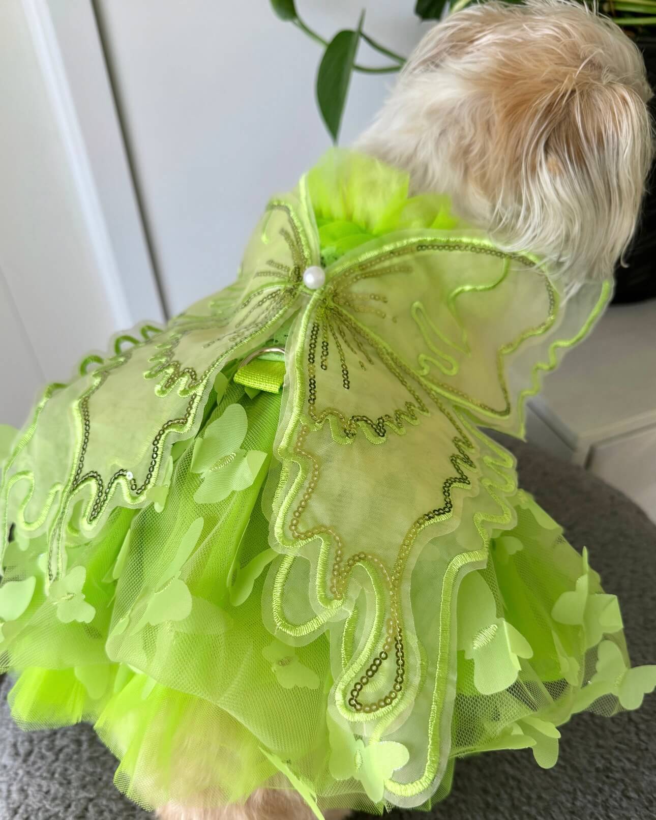 Tinkerbell Tutu