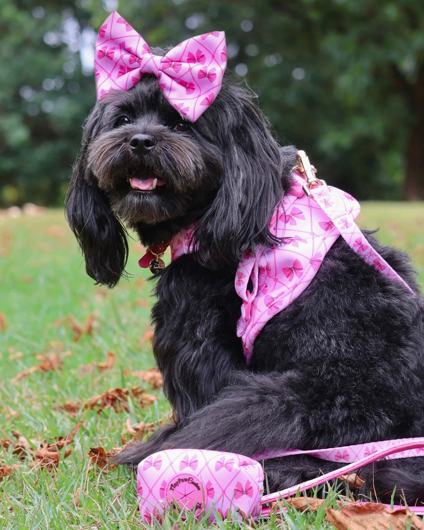 Wet'n'Wild Valentina Bow Set