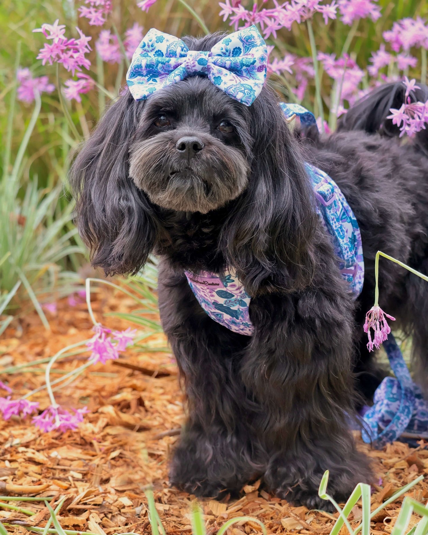 Wet'n'Wild Azure Huntress Harness