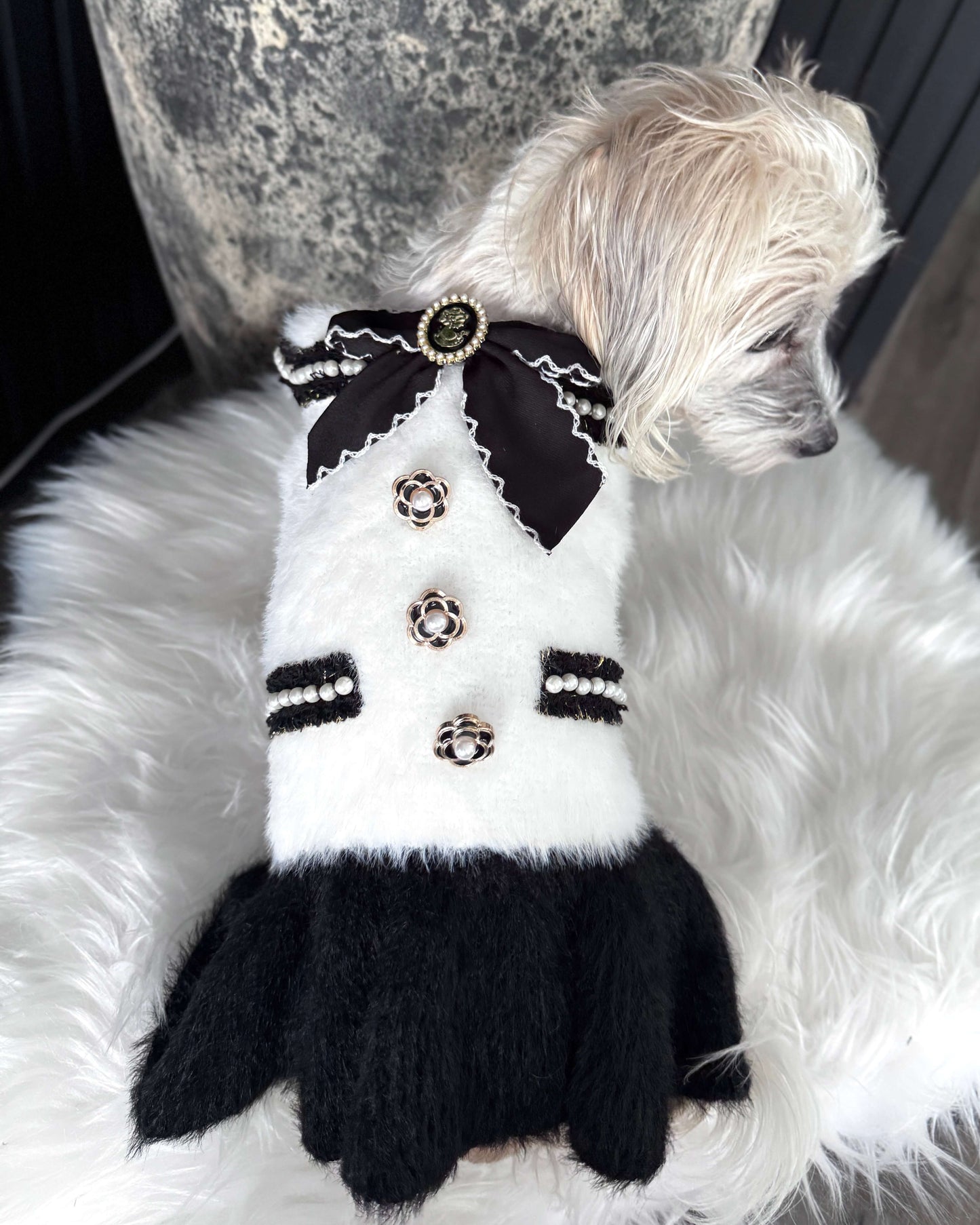Margot Parisian Winter Dress