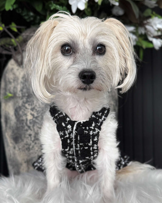 Coco Couture Luxury Winter Dress
