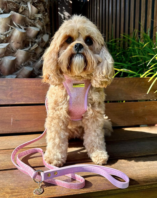 Little Luxe Glitz & Glam Pink Harness