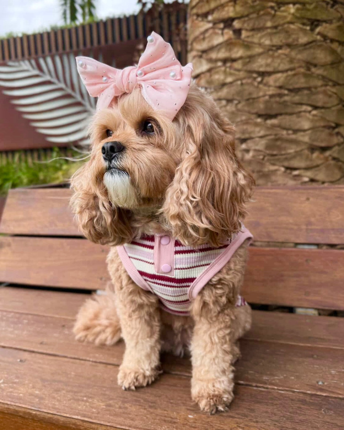 Blush Belle Hair Bow