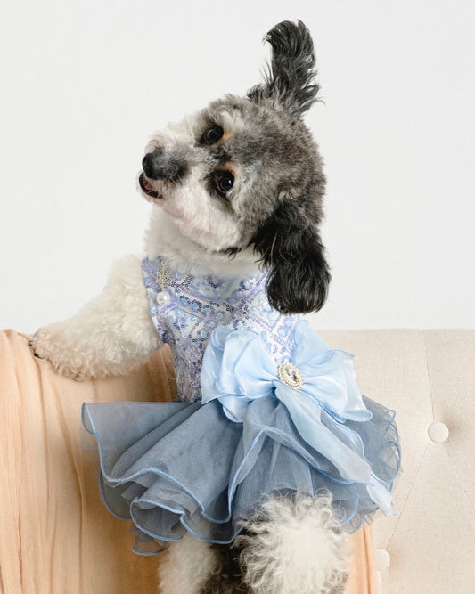 Isabella Deluxe Dress