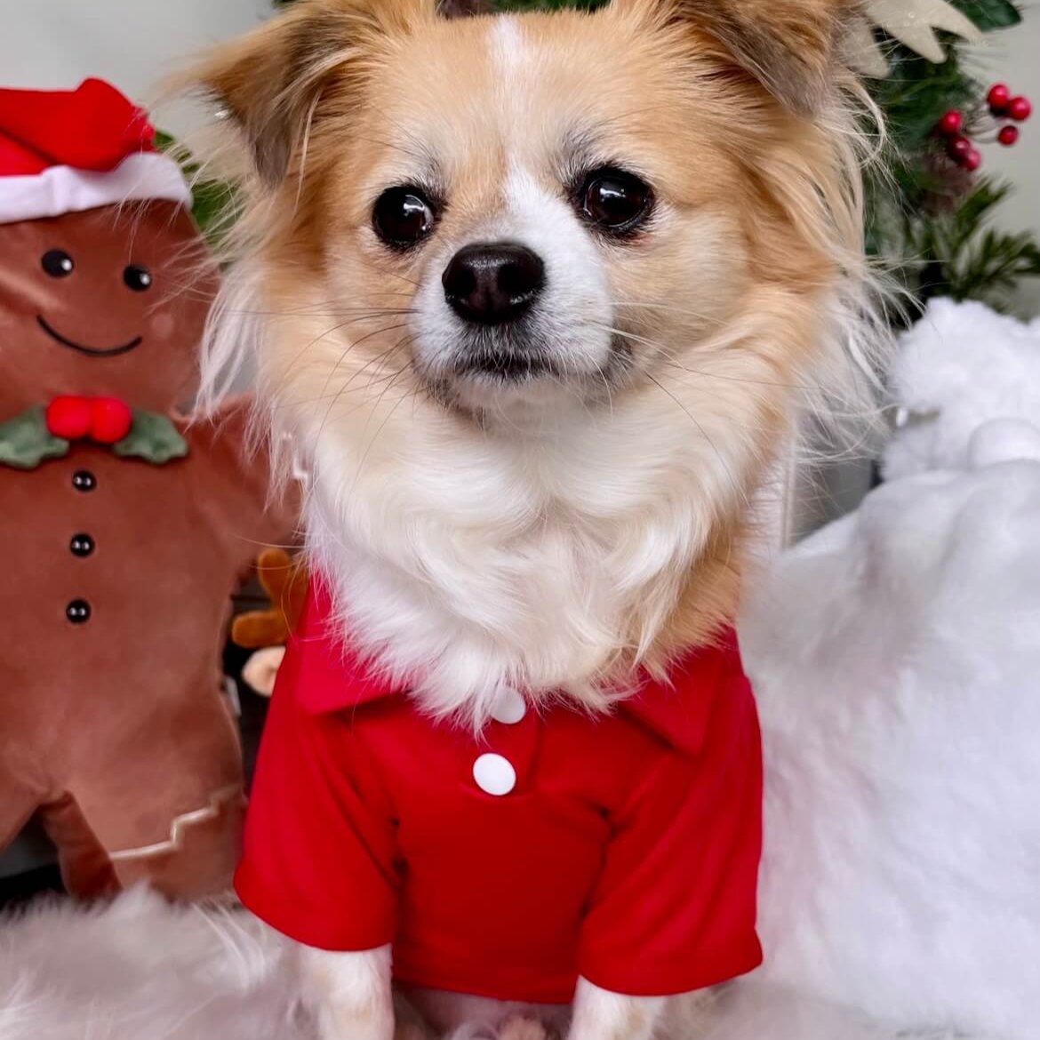 Red Polo Shirt