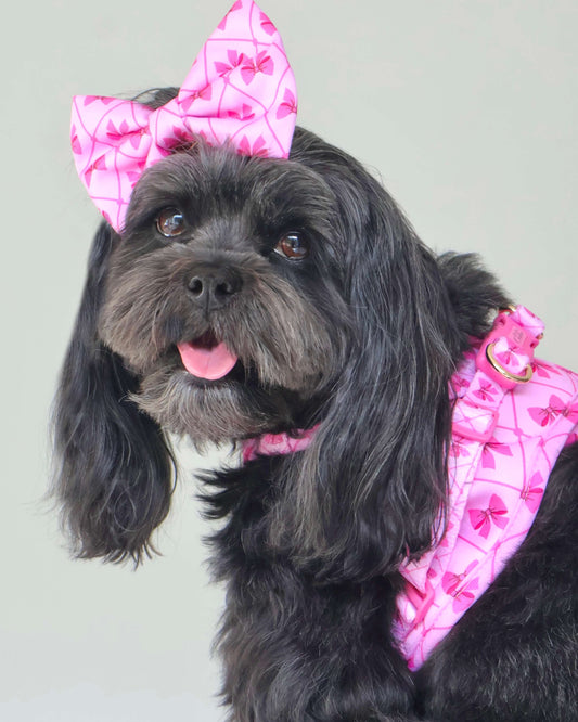 Wet'n'Wild Valentina Bow Harness