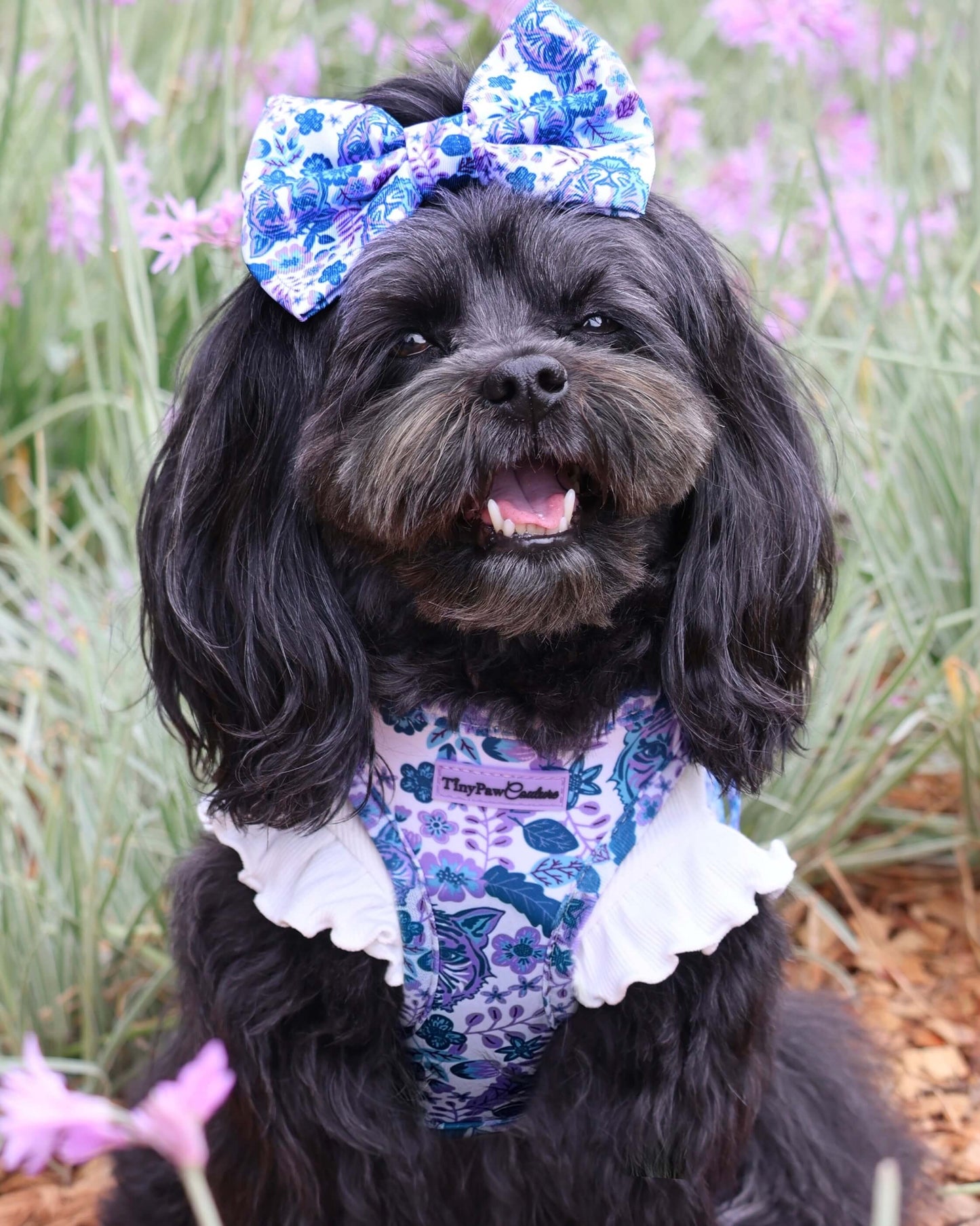 Wet'n'Wild Azure Huntress Harness