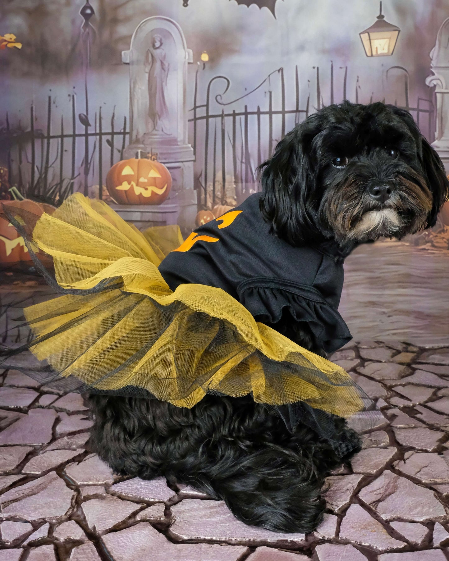 Spooky Pumpkin Tutu