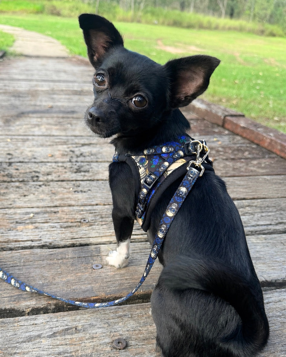 Wet'n'Wild Midnight Rebellion Harness