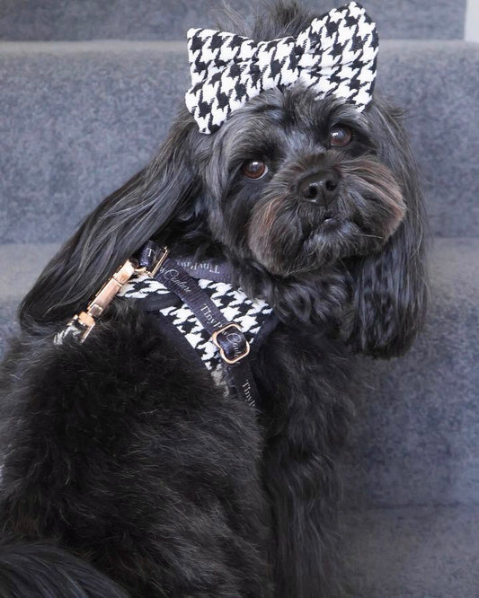 Little Luxe Houndstooth Harness