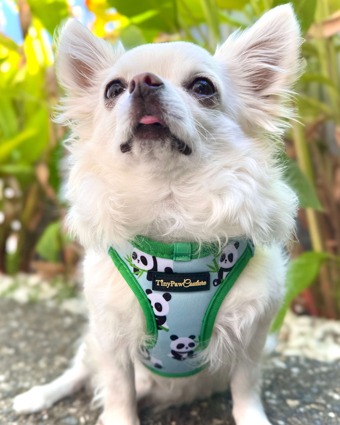 Wet'n'Wild Panda Step In Vest Harness