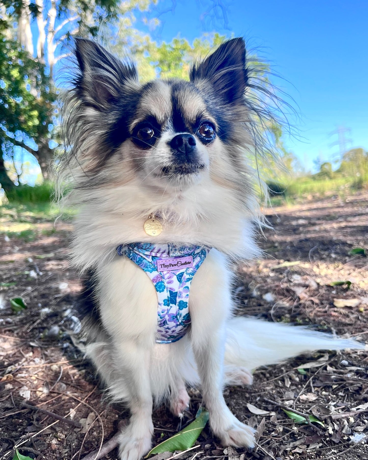 Wet'n'Wild Azure Huntress Harness