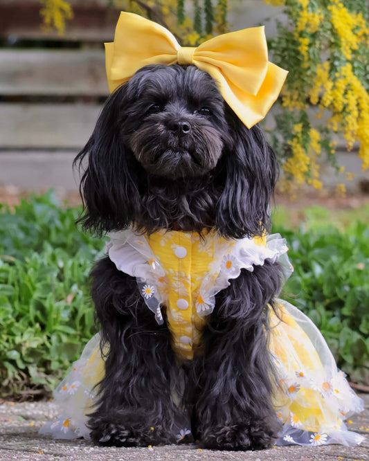Daisy Meadow Dress