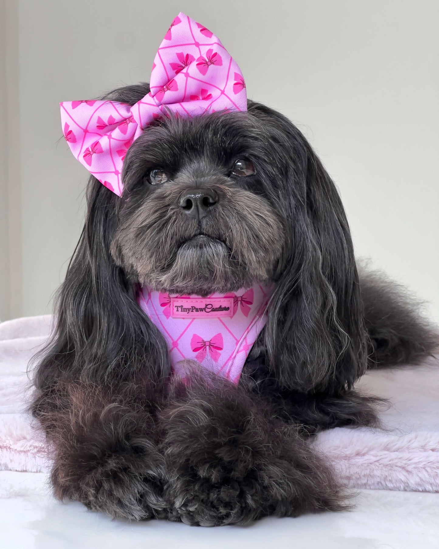 Wet'n'Wild Valentina Bow Harness