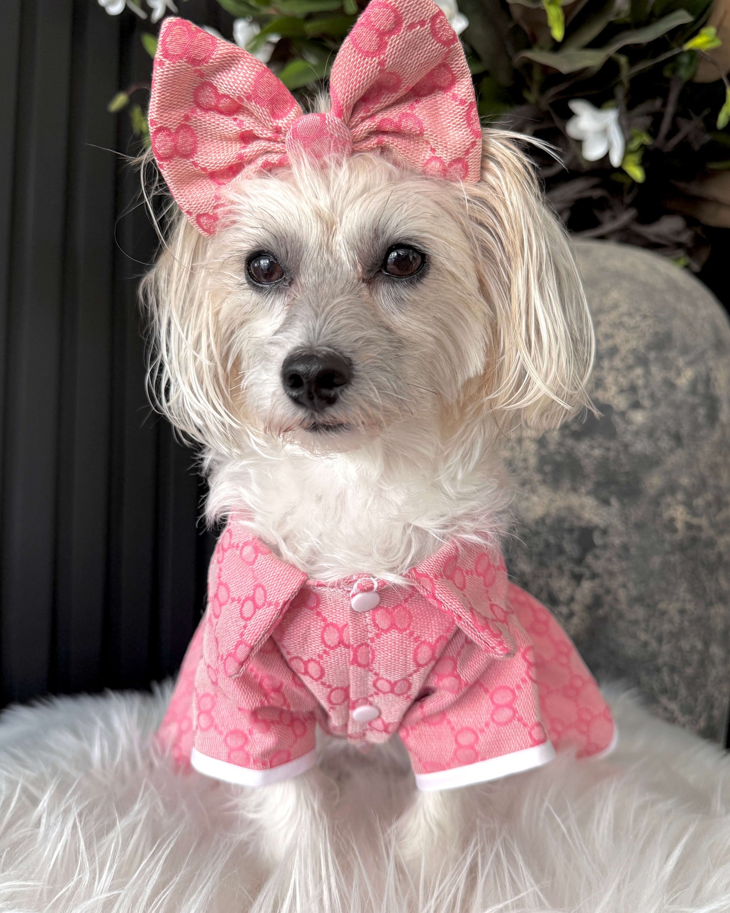 Poochie Pink Dress