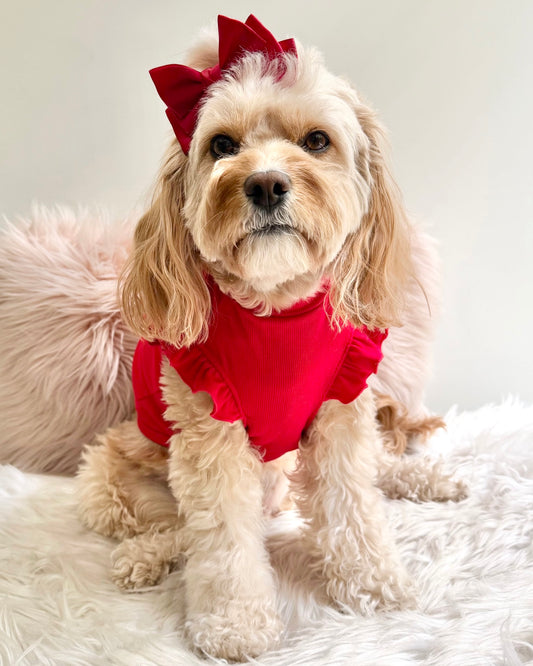 Arabella Frilly Sleeve Top Red