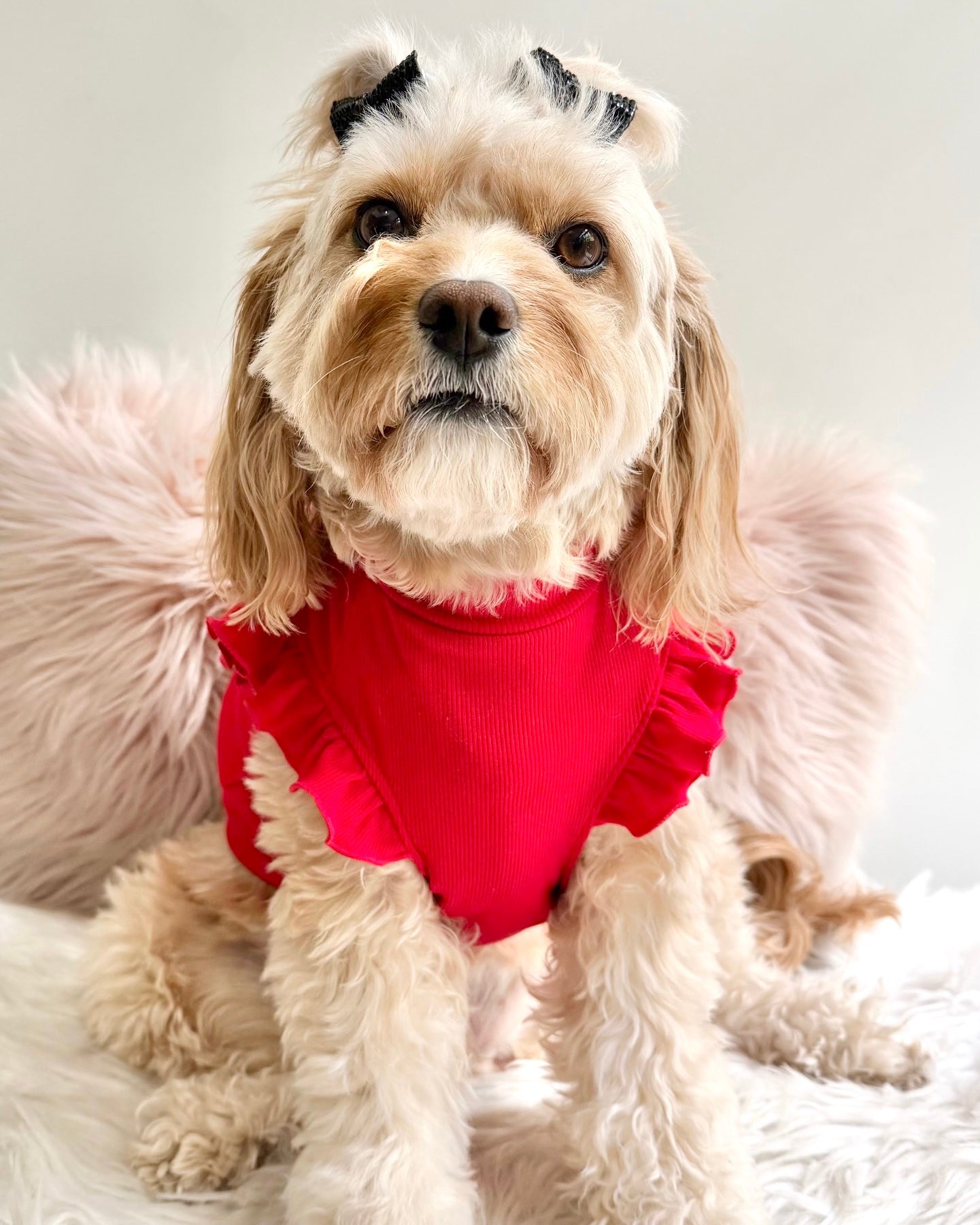 Arabella Frilly Sleeve Top Red