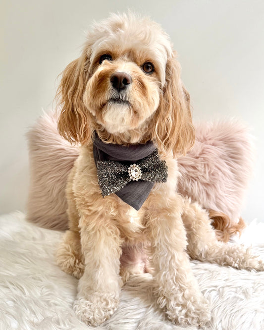 Arden Deluxe Bandana Black