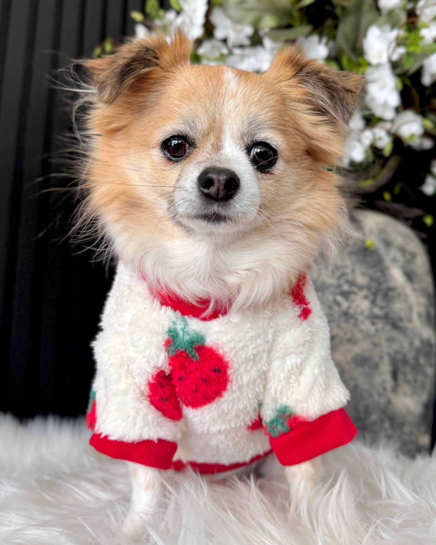 Strawberry Teddy Jumper