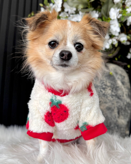 Strawberry Teddy Jumper