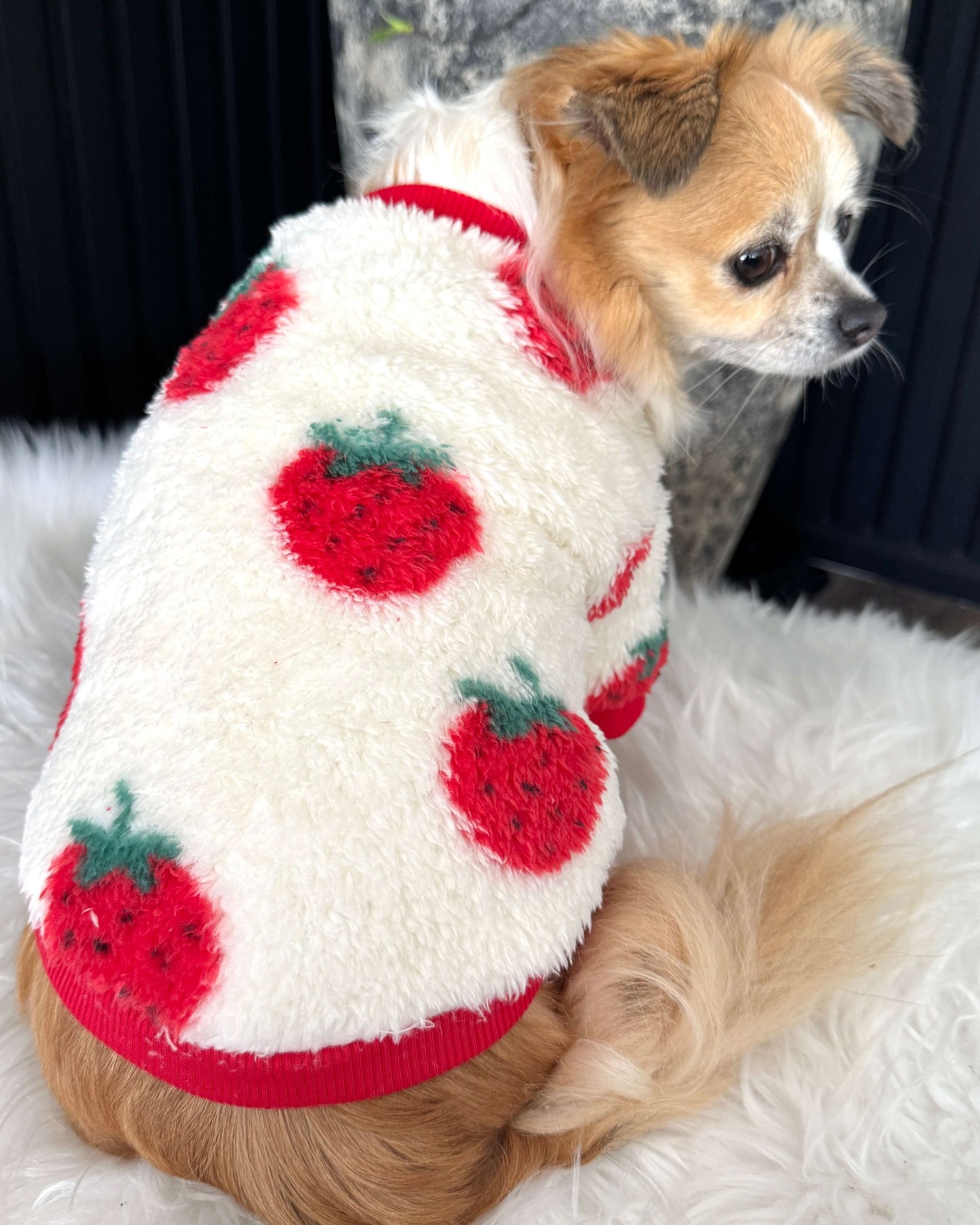 Strawberry Teddy Jumper